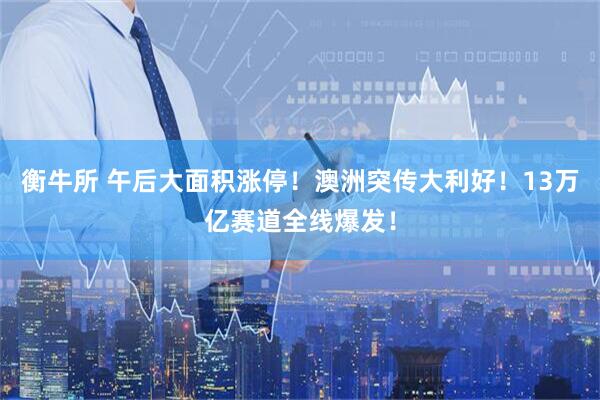 衡牛所 午后大面积涨停！澳洲突传大利好！13万亿赛道全线爆发！