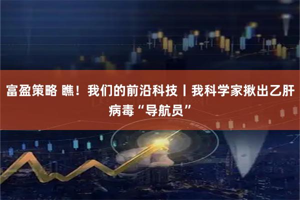 富盈策略 瞧!我们的前沿科技丨我科学家揪出乙肝病毒“导航员”
