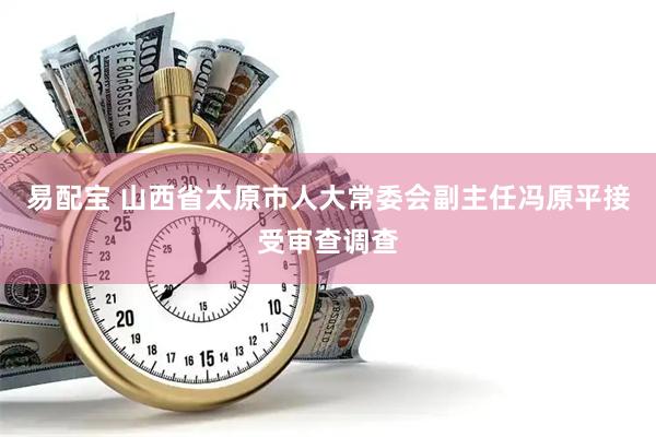 易配宝 山西省太原市人大常委会副主任冯原平接受审查调查