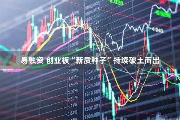 易融资 创业板“新质种子”持续破土而出
